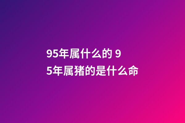 95年属什么的 95年属猪的是什么命-第1张-观点-玄机派